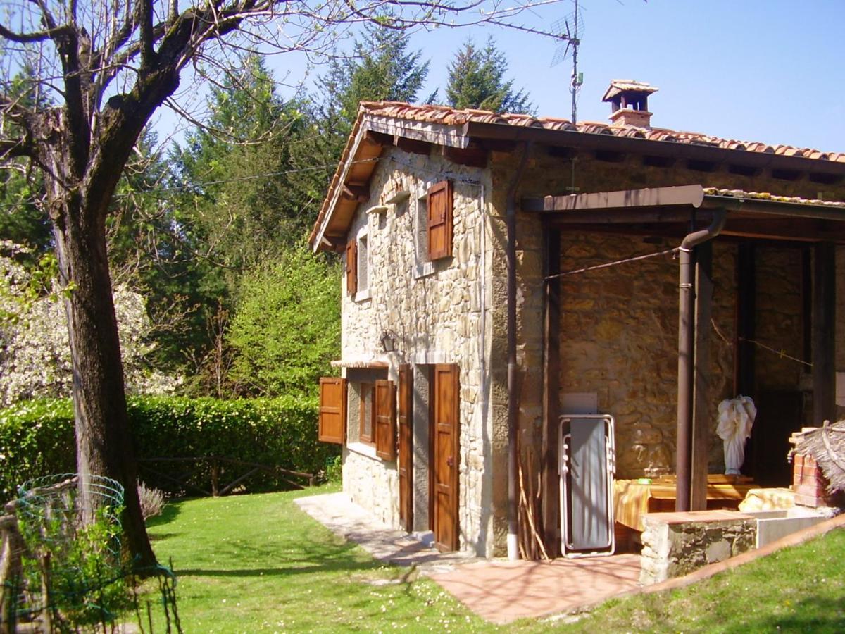 Comfortable House In Bibbiena + Pool מראה חיצוני תמונה