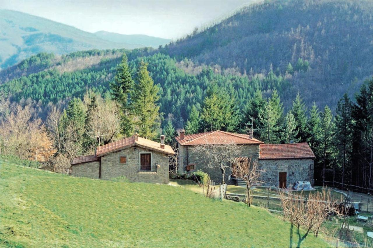 Comfortable House In Bibbiena + Pool מראה חיצוני תמונה